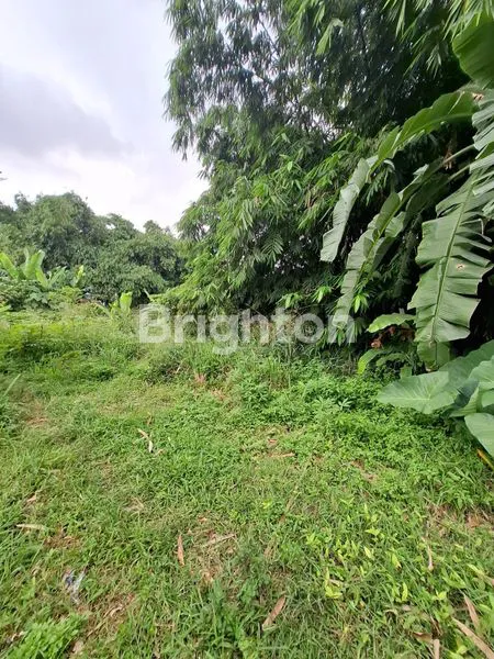 image TANAH NANGGEWER CIBINONG BOGOR (2)