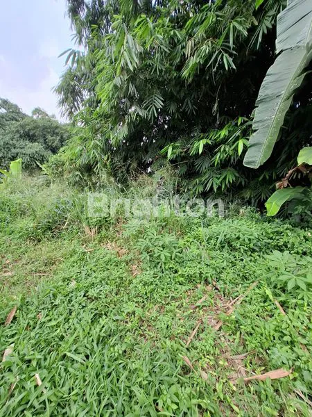 image TANAH NANGGEWER CIBINONG BOGOR (5)