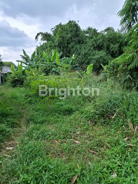 image TANAH NANGGEWER CIBINONG BOGOR (3)