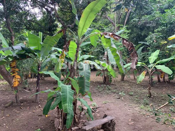 image 10 ARE TANAH PREMIUM DI SANUR DAN IDEAL UNTUK KOMPLEK VILLA (4)