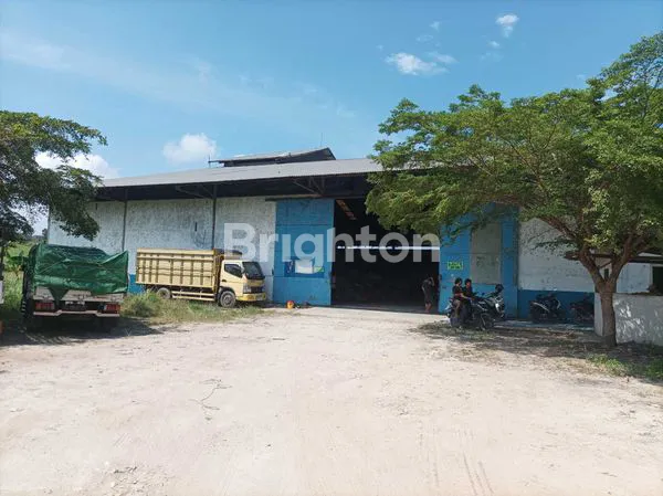 image JUAL/SEWA GUDANG LB 1.500 M2 SUTAMI BANDAR LAMPUNG (1)