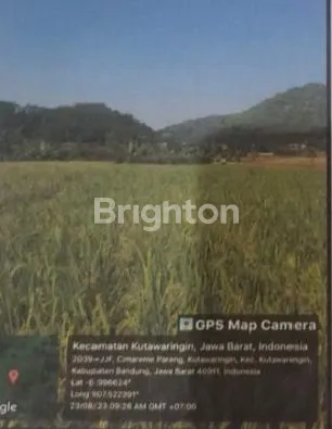 image DIJUAL TANAH SAWAH SUBUR & PRODUKTIF – KUTAWARINGIN, BANDUNG (4)
