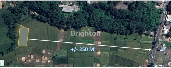 image DIJUAL TANAH SAWAH SUBUR & PRODUKTIF – KUTAWARINGIN, BANDUNG (3)