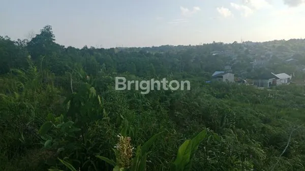 image LAHAN KOSONG DENGAN LUAS ±6000M² DI AREA KILO 8 BALIKPAPAN (3)