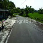 image TANAH SAWAH COCOK UNTUK USAHA DI MASARAN SRAGEN (3)