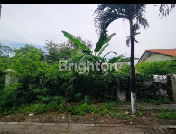 image TANAH MEDOKAN COCOK UTK KOS2AN STATUS SHM (1)