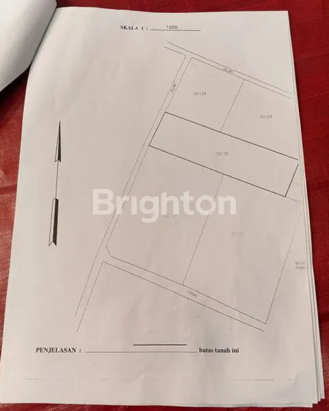 image TANAH STRATEGIS JATIMALANG JL DAENDELS (3)