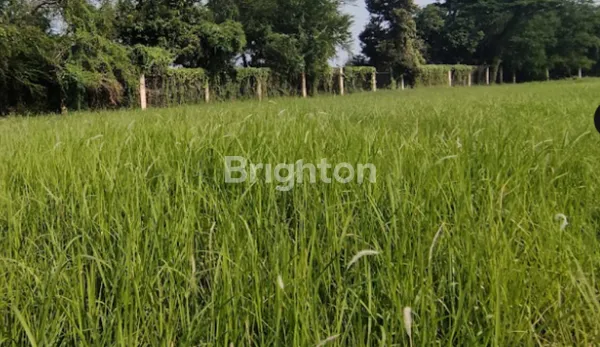 KAVLING STRATEGIS DI KAWASAN ELIT TAMAN GOLF, MODERNLAND