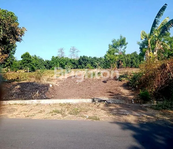 image DIJUAL TANAH DI KARANGASEM WONOREJO PASURUAN LUAS 2680M² HANYA 500JUTAAN (1)