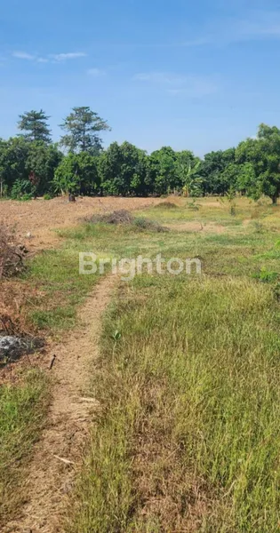 image DIJUAL TANAH DI KARANGASEM WONOREJO PASURUAN LUAS 2680M² HANYA 500JUTAAN (2)