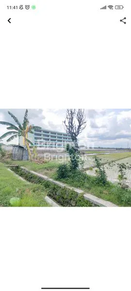 DIJUAL TANAH SAWAH JALUR RINGROAD -KOTA MADIUN