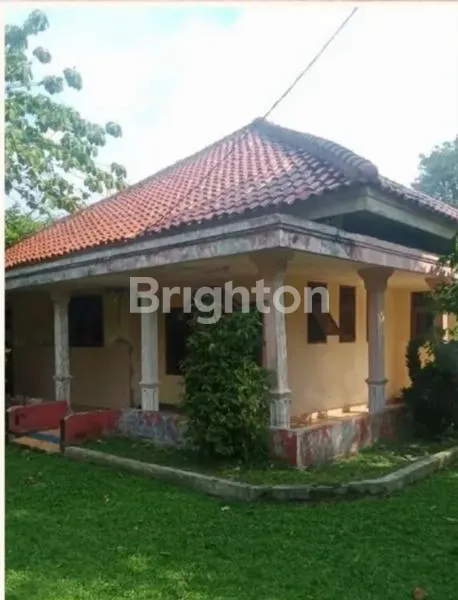 image DIJUAL RUMAH ASRI ,PONDOK UDIK KEMANG BOGOR (2)
