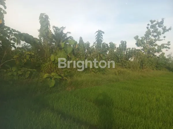 image TANAH SANGAT STRATEGIS UTK USAHA (4)