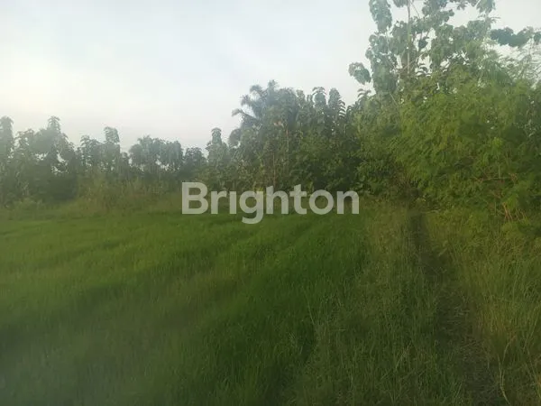 image TANAH SANGAT STRATEGIS UTK USAHA (3)