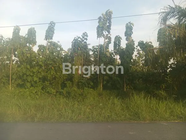 image TANAH SANGAT STRATEGIS UTK USAHA (6)