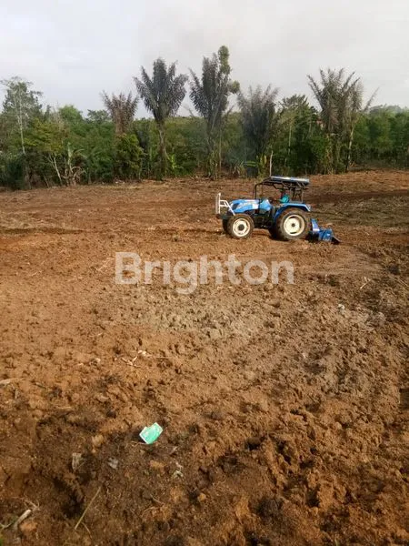 image TANAH SELUAS 4 HEKTAR SERTIFIKAT SHM TIGARUNGGU PARAPAT (3)