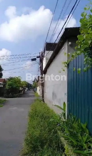 image DIJUAL/SEWA TANAH FREE TAMBAK BUDI DAYA IKAN LELE (6)