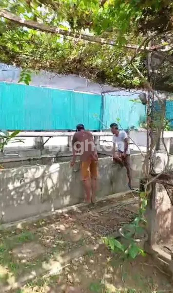 image DIJUAL/SEWA TANAH FREE TAMBAK BUDI DAYA IKAN LELE (5)