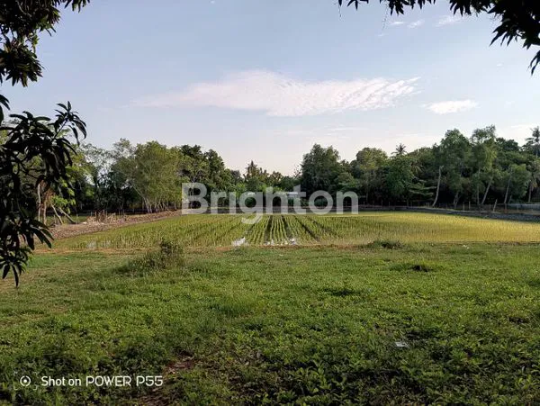 image TANAH KAVLING MURAH DIBAWAH HARGA PASAR LOKASI PINGGIR JALAN LINTAS TEMPURAN, PANCAKARYA, KARAWANG, JAWA BARAT (7)