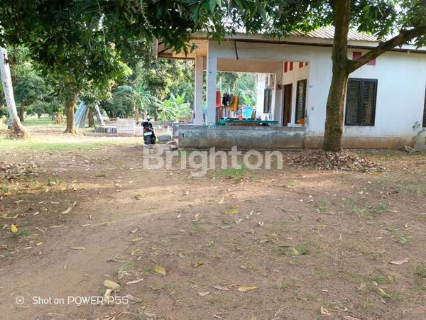 image TANAH KAVLING MURAH DIBAWAH HARGA PASAR LOKASI PINGGIR JALAN LINTAS TEMPURAN, PANCAKARYA, KARAWANG, JAWA BARAT (5)