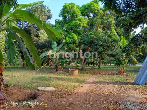 image TANAH KAVLING MURAH DIBAWAH HARGA PASAR LOKASI PINGGIR JALAN LINTAS TEMPURAN, PANCAKARYA, KARAWANG, JAWA BARAT (3)