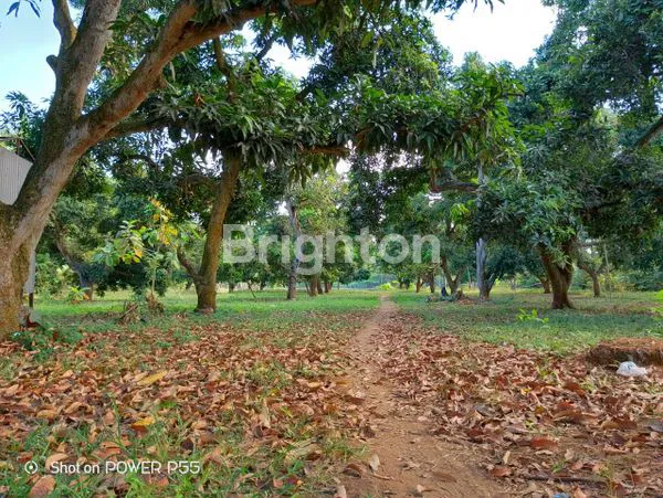 image TANAH KAVLING MURAH DIBAWAH HARGA PASAR LOKASI PINGGIR JALAN LINTAS TEMPURAN, PANCAKARYA, KARAWANG, JAWA BARAT (6)