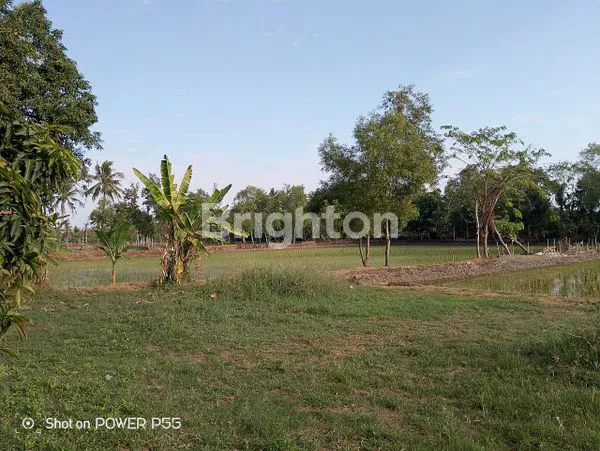 image TANAH KAVLING MURAH DIBAWAH HARGA PASAR LOKASI PINGGIR JALAN LINTAS TEMPURAN, PANCAKARYA, KARAWANG, JAWA BARAT (2)