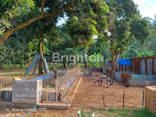 image TANAH KAVLING MURAH DIBAWAH HARGA PASAR LOKASI PINGGIR JALAN LINTAS TEMPURAN, PANCAKARYA, KARAWANG, JAWA BARAT (8)