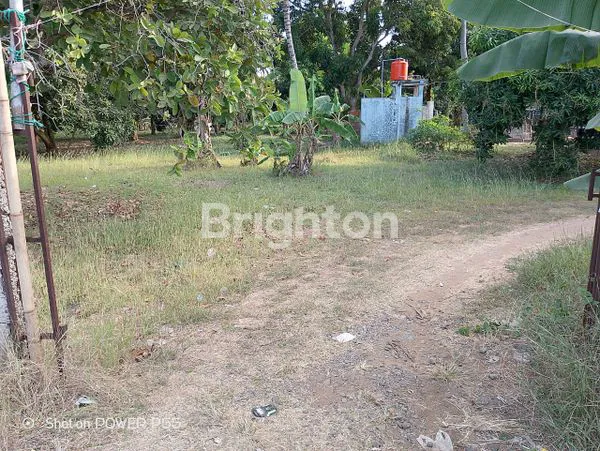 image TANAH KAVLING MURAH DIBAWAH HARGA PASAR LOKASI PINGGIR JALAN LINTAS TEMPURAN, PANCAKARYA, KARAWANG, JAWA BARAT (4)