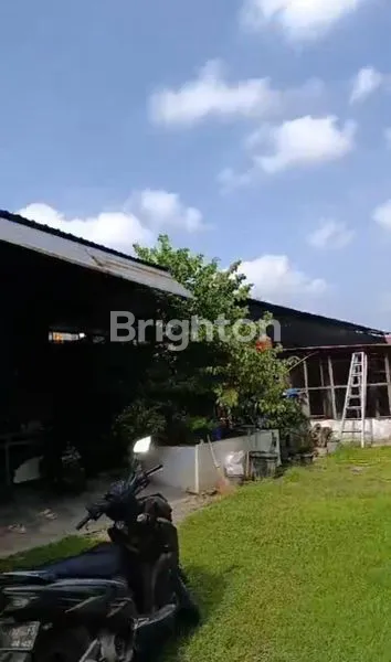 image DISEWAKAN TANAH DAN JUGA TAMBAK BUDI DAYA IKAN LELE (2)