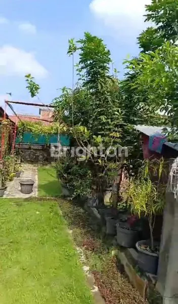 image DISEWAKAN TANAH DAN JUGA TAMBAK BUDI DAYA IKAN LELE (3)