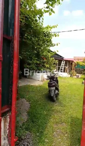 image DISEWAKAN TANAH DAN JUGA TAMBAK BUDI DAYA IKAN LELE (1)