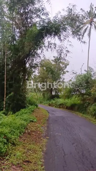 image LAND FOR SALE IN PANEBEL, TABANAN – MOUNTAIN & RIVER VIEW (2)