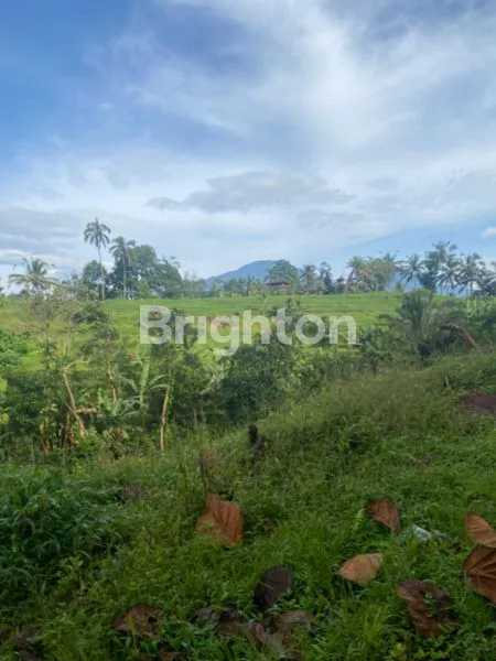 image  LAND FOR SALE IN PANEBEL, TABANAN – MOUNTAIN & RIVER VIEW (4)