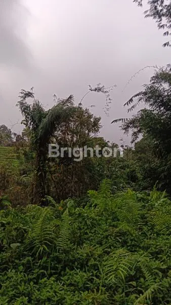 image  LAND FOR SALE IN PANEBEL, TABANAN – MOUNTAIN & RIVER VIEW (6)