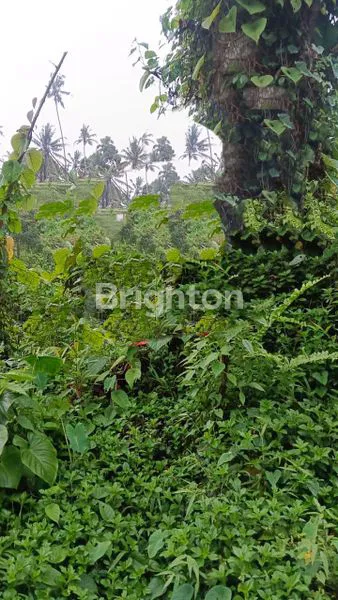 image  LAND FOR SALE IN PANEBEL, TABANAN – MOUNTAIN & RIVER VIEW (5)