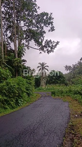 image  LAND FOR SALE IN PANEBEL, TABANAN – MOUNTAIN & RIVER VIEW (3)