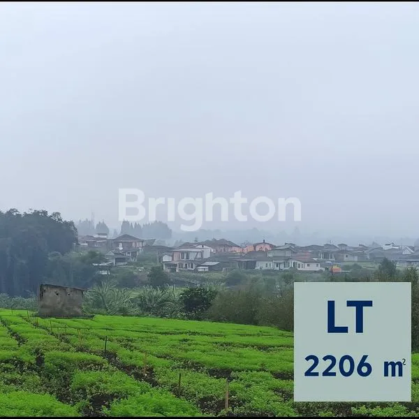 image TANAH DIAREA BATU (1)