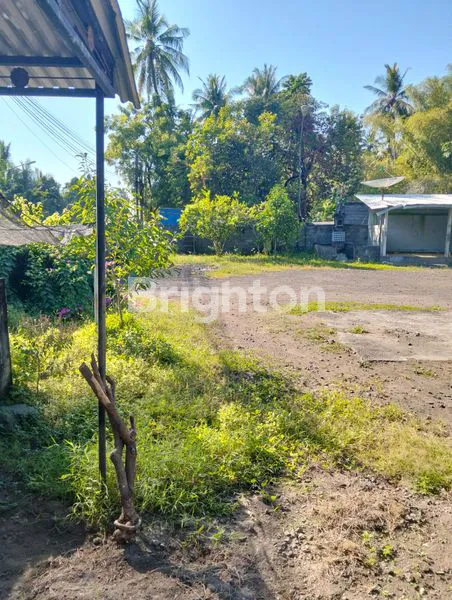 image TANAH PINGGIR JALAN RAYA AIR SANIH - BULELENG TIMUR, BALI (5)