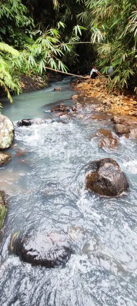 image  LAND FOR LEASE – 83 ARE IN PANEBEL VILLAGE, TABANAN (6)