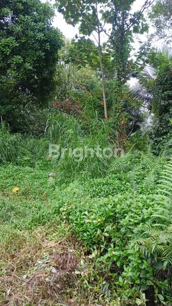 image  LAND FOR LEASE – 83 ARE IN PANEBEL VILLAGE, TABANAN (5)