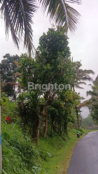 image  LAND FOR LEASE – 83 ARE IN PANEBEL VILLAGE, TABANAN (2)