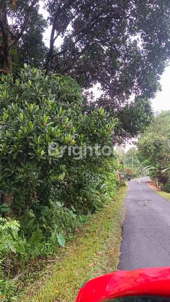 image  LAND FOR LEASE – 83 ARE IN PANEBEL VILLAGE, TABANAN (1)