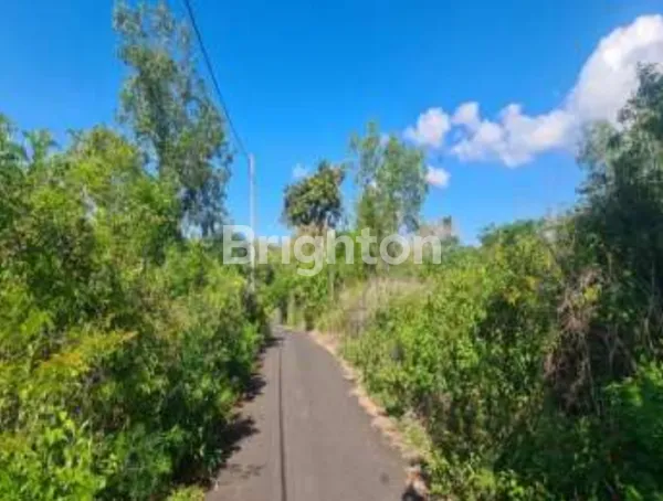 image TANAH LUAS STRATEGIS DI KAWASAN PARIWISATA KUTUH – POTENSI BESAR UNTUK PROYEK VILLA, HOTEL, ATAU INVESTASI HOSPITALITY SKALA BESAR (1)