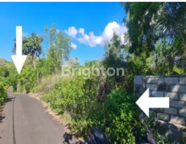 image TANAH LUAS STRATEGIS DI KAWASAN PARIWISATA KUTUH – POTENSI BESAR UNTUK PROYEK VILLA, HOTEL, ATAU INVESTASI HOSPITALITY SKALA BESAR (2)