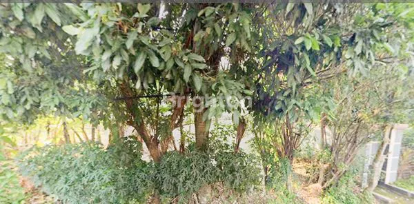 image TANAH KAVLING HOEK DALAM KOMPLEK AKSES JALAN 2 MOBIL SANGAT DEKAT KE BOGOR OUTER RING ROAD TANAH BARU, BOGOR UTARA (6)