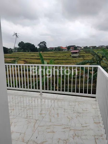 image DISEWAKAN VILLA DI CANGGU 180 JUTA PERTAHUN (5)