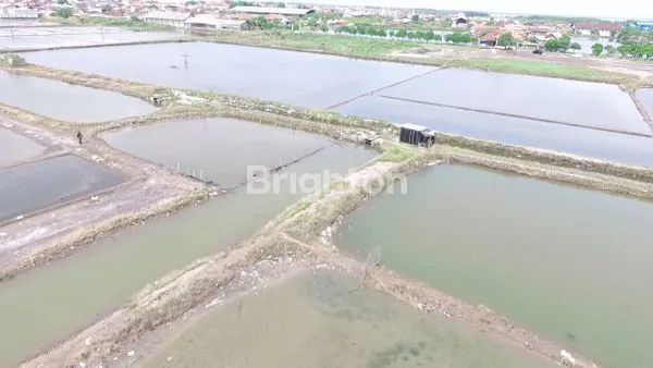 TAMBAK STRATEGIS DEKAT DENGAN PUSAT KOTA PASURUAN COCOK UNTUK PELABUHAN, PABRIK ATAU GUDANG.