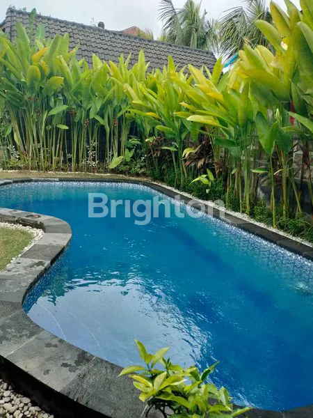 image DISEWAKAN VILLA DI CANGGU 60 JUTA PERTAHUN (6)