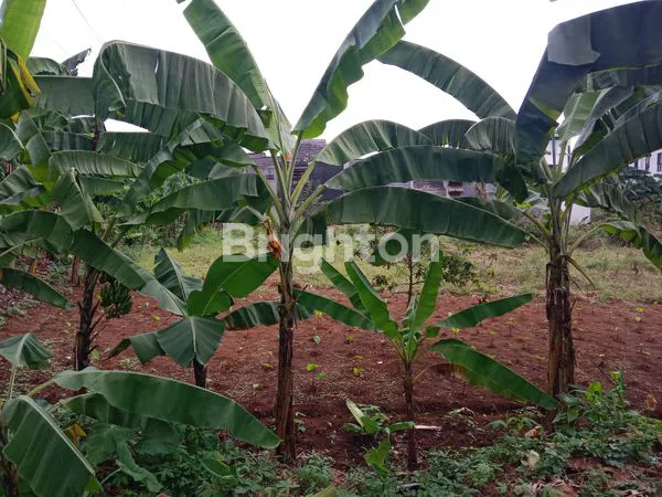 image TANAH PREMIUM 2460M² DI CIMANGGU PERMAI, 5 MENIT KE TOL BORR (6)